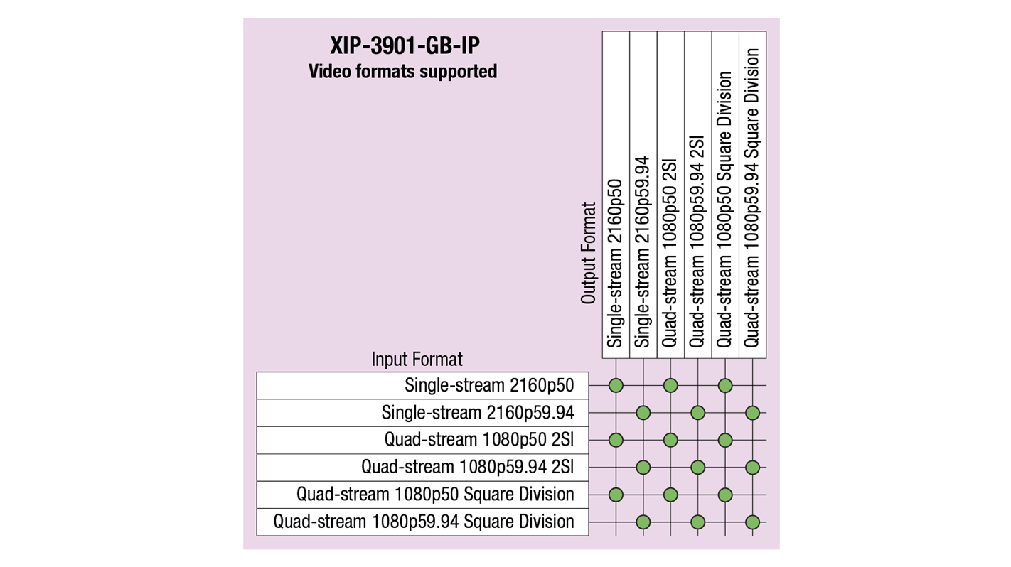 XIP-3901-GB-IP Video Formats Supported