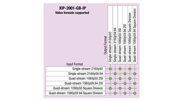 XIP-3901-GB-IP Video Formats Supported