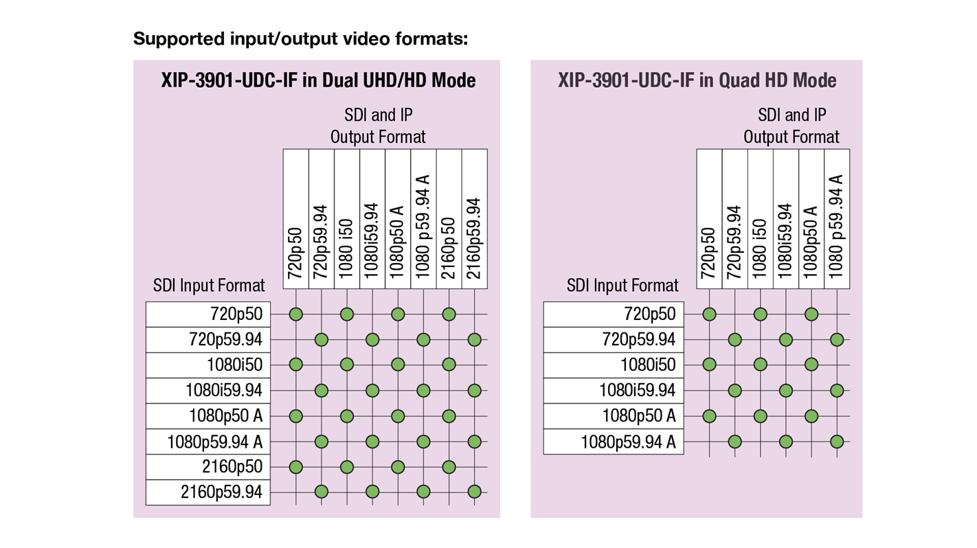 XIP-3901-UDC-IF Supported I/O Video Formats